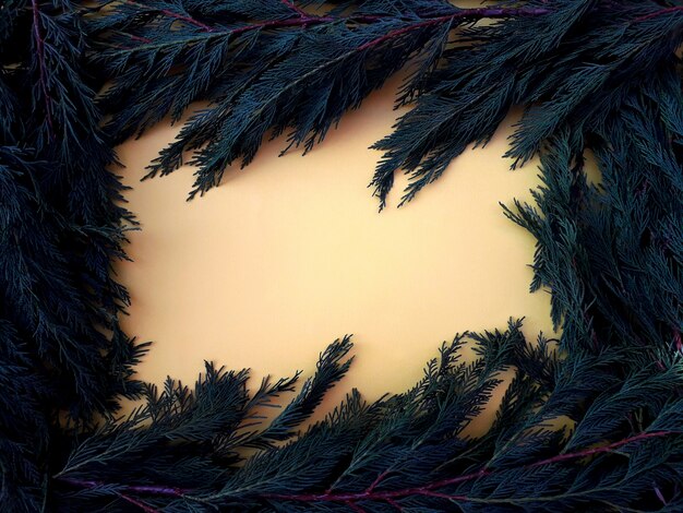 yellow background with frame of green pine branches around and from above