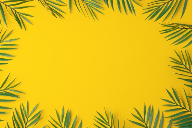 Yellow background with palm leaves flat lay copy space