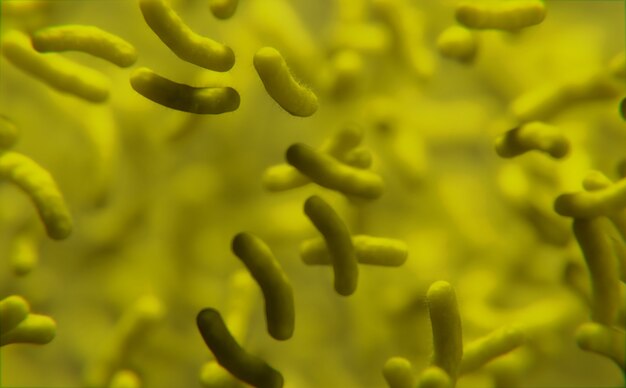 Yellow bacterium