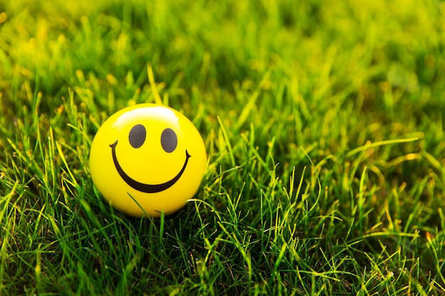 写真 日の出の緑の草の上に笑顔で黄色のボール
