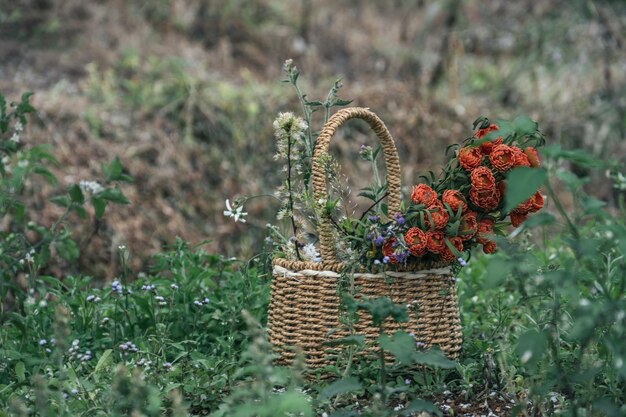 A yellow basket on the grass contains red flowers