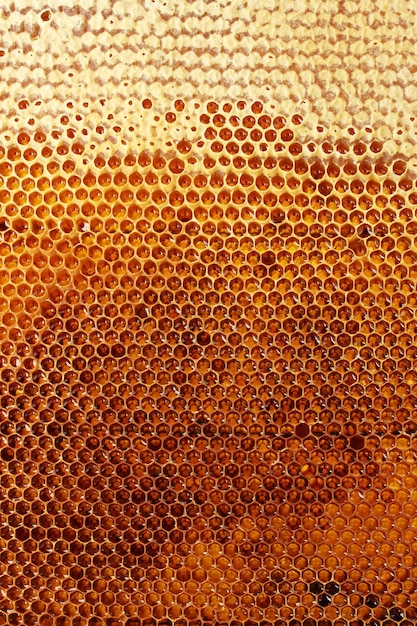 Premium Photo | Yellow beautiful honeycomb with honey background