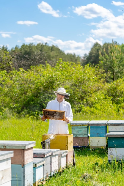 Photo yellow beehive with bees swarming around. beekeeper in protection suit working with honeycomb.