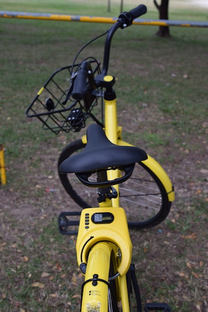 Photo yellow bicycle in the public park.