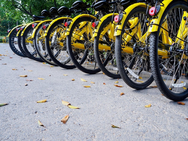 Yellow bicycles in parking lot