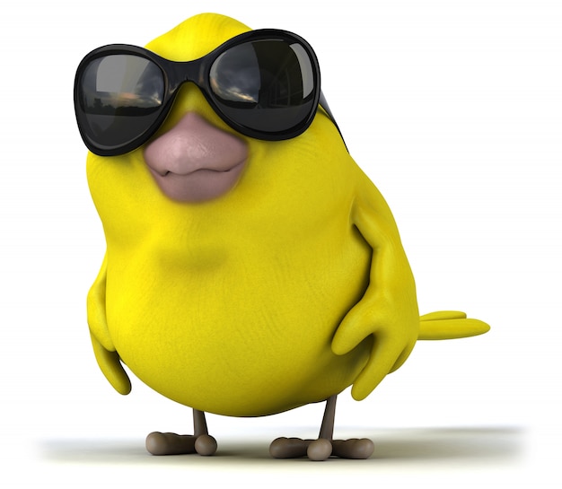 Yellow bird animation
