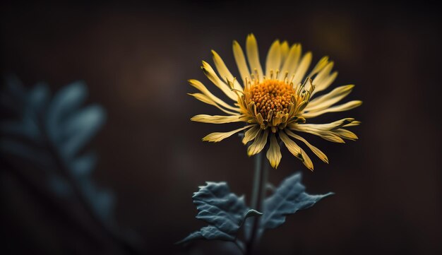 Yellow blossom in blurry focus