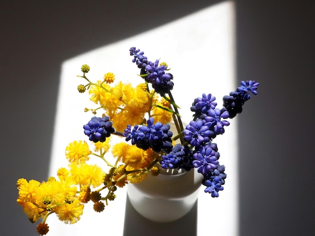 Yellow and blue flowers in a vase View from above Light and hard shadows