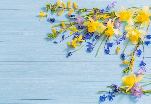 Yellow and blue spring flowers on wooden background