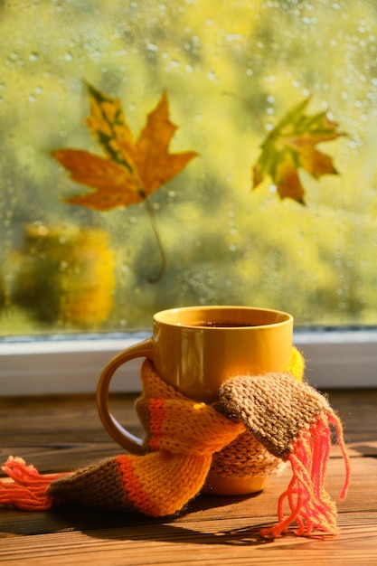 Foto foglie gialle e luminose sullo sfondo della finestra.