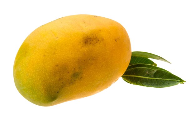 Yellow bright mango