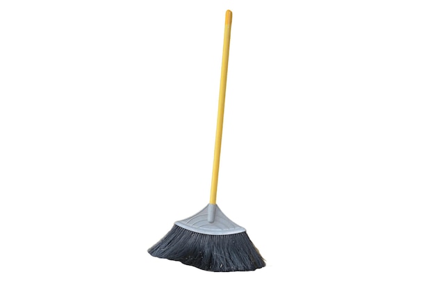 Yellow broom isolated on a white background