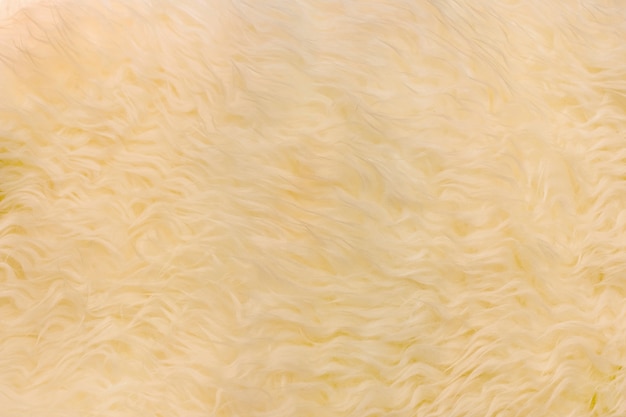 Yellow-brown artificial fur as merino skin.