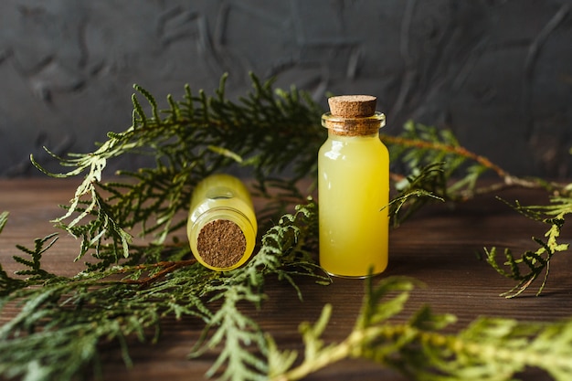 Yellow bubbles and green plants