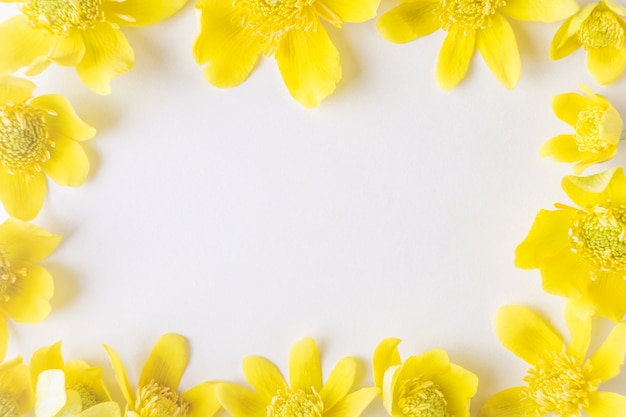 Yellow buttercups close-up frame a light. 