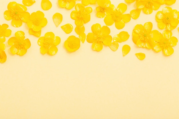 Yellow buttercups on yellow paper background