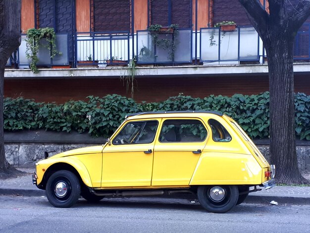 Foto auto gialla in strada