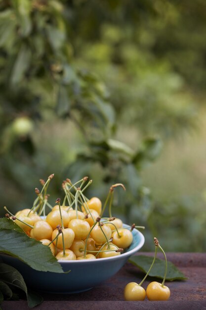 Yellow cherry in a bowl