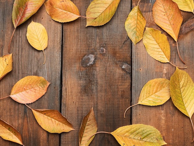 Yellow cherry leaves on a brown wooden