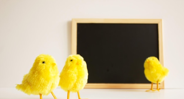 Yellow chickens in front of a writing board Place for text