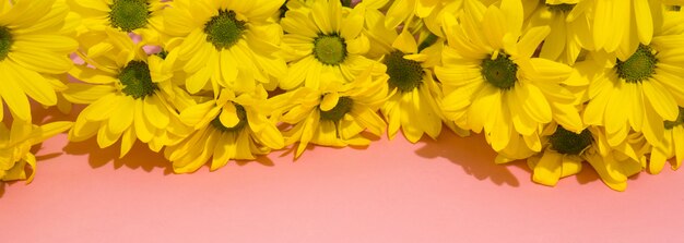 Букет желтых хризантем, панорамный баннер
