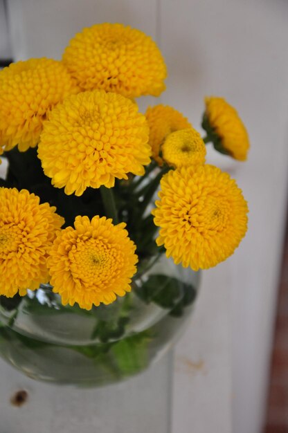 Yellow chrysanthemum bouquet