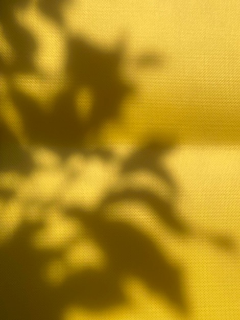 A yellow cloth with the shadow of a plant on it.