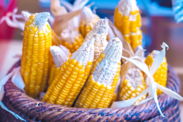 Yellow cob of sweet corn in basket