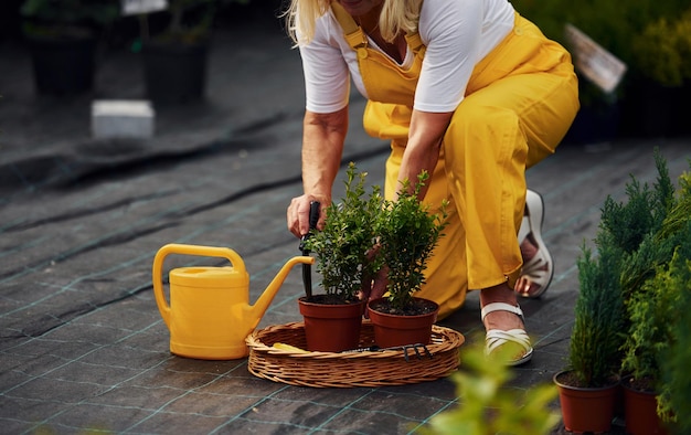 黄色の制服を着た年配の女性は日中庭にいます植物と季節の概念