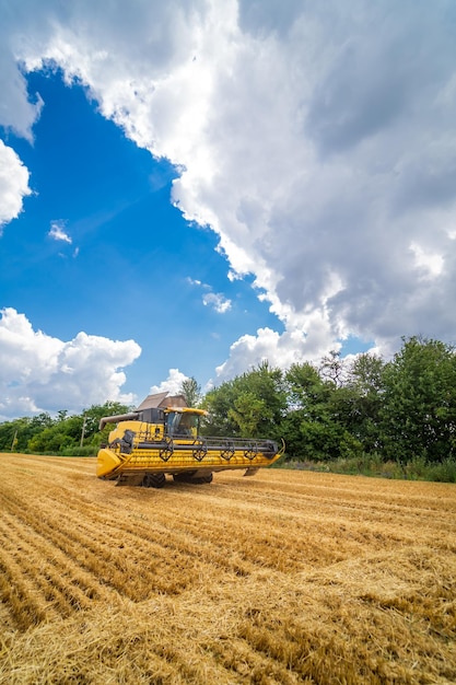 Желтый комбайн работает на поле Сельскохозяйственная машина на голубом небе