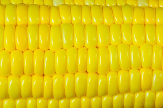 yellow corn as a background macroAbstractAgricultureBackgroundsCereal PlantCloseupColor