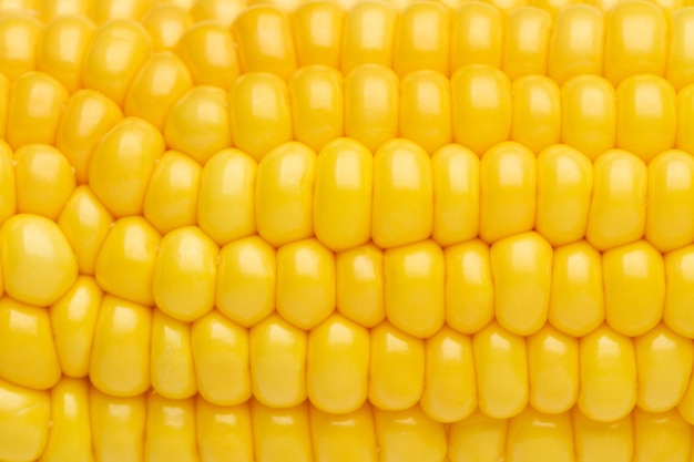 A yellow corn in a close up view