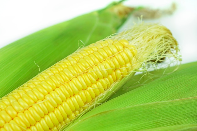 Yellow corn has a delicious sweet taste.