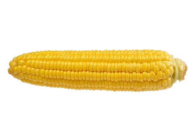 Yellow corn isolated on white background Copyspace