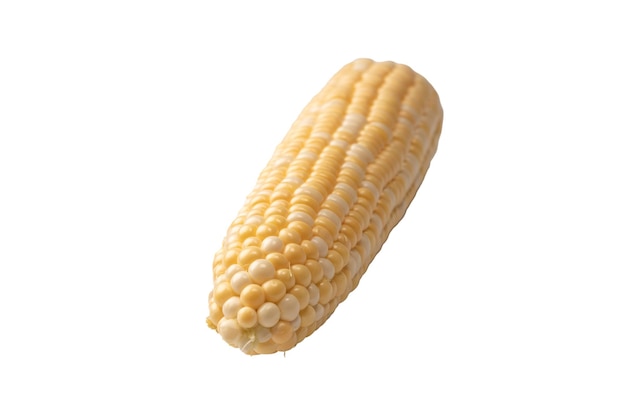 Yellow corn isolated on white background Copyspace