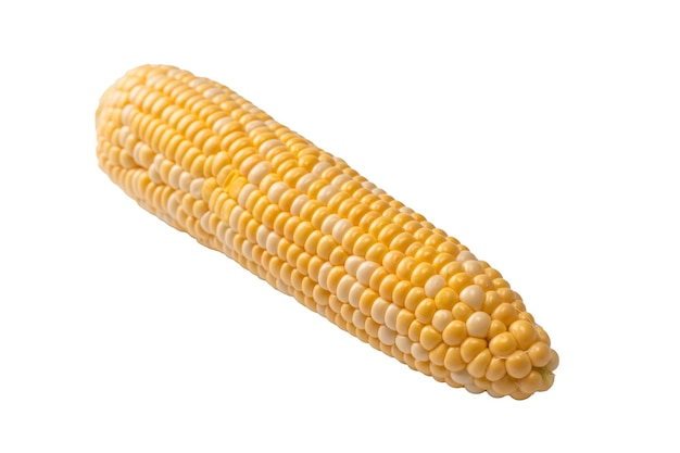 Yellow corn isolated on white background Copyspace