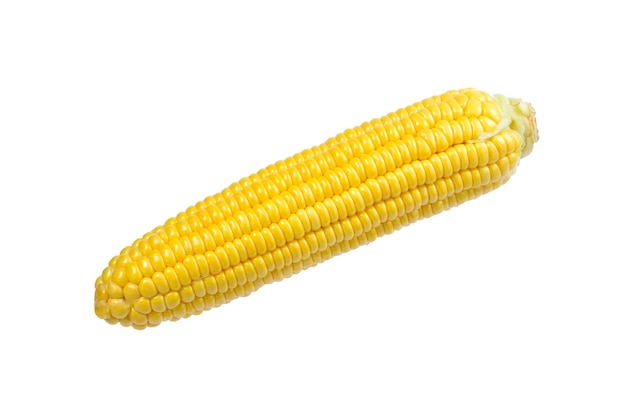 Yellow corn isolated on white