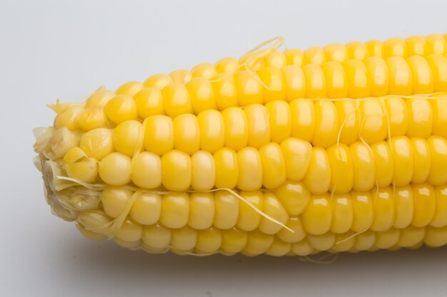 Yellow corn pods ready to eat on a white backdrop.