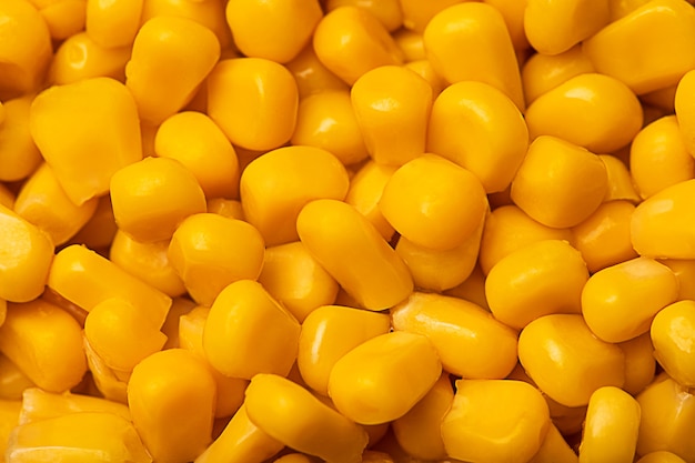 Yellow corns over white background.