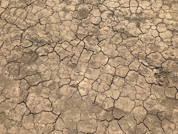 Yellow crack dry dirt background texture and tire