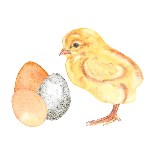 Yellow cute chick easter eggs metallic watercolor on isolated white background hand drawn