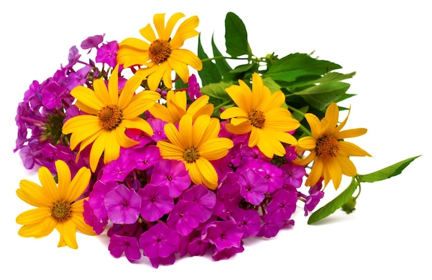 Yellow daisy flowers and purple phlox isolated on a white background