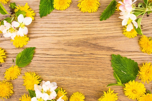 Yellow dandelion flowers and white apple blossoms close up for background copy space. Top view, color frame with space for text, flat lay