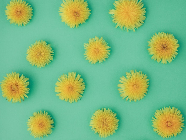 Yellow dandelion. Nature concept. Summer flat lay.