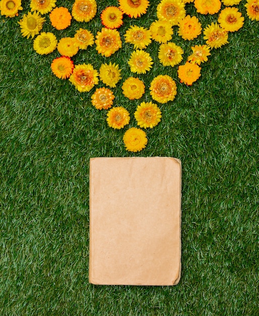 Yellow dandelions and a book on green grass.