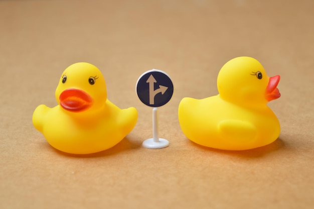 Yellow duck toys heading to different directions