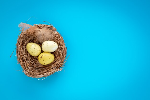 Yellow easter eggs in a nest on a blue background.