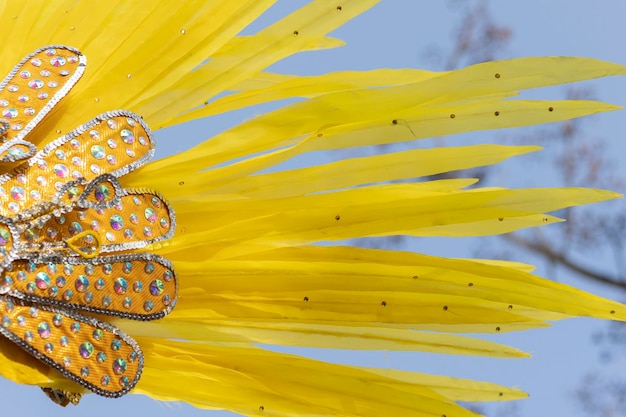 Yellow feathers from Carnival parade festival participants