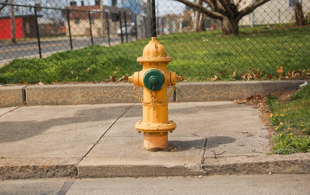 A yellow fire hydrant with a green cap on it.