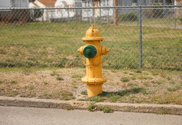 A yellow fire hydrant with a green cap on it.